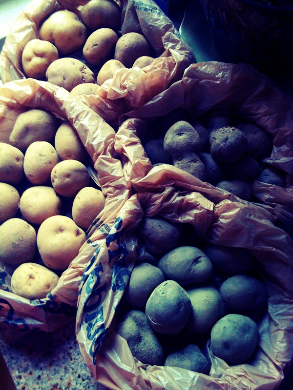potatoes2011.jpg
